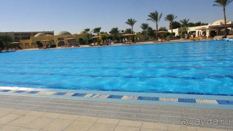 фото Desert Rose Resort