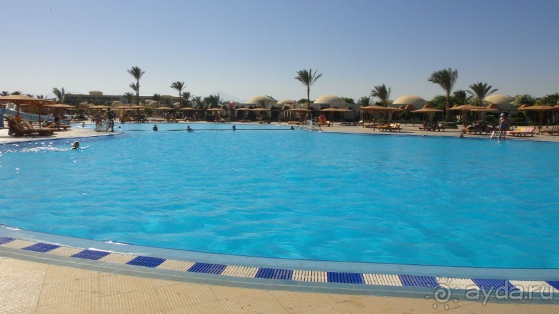 фото Desert Rose Resort