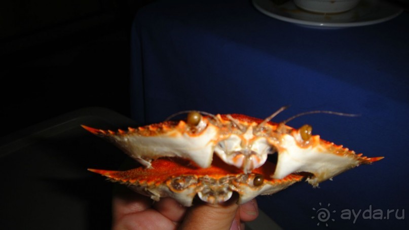 Отличный отель!!! Супер Отдых!!!!