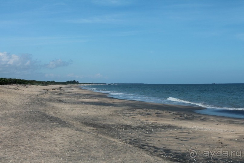 Поездка на Шри-ланку