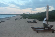 Поездка на Шри-ланку