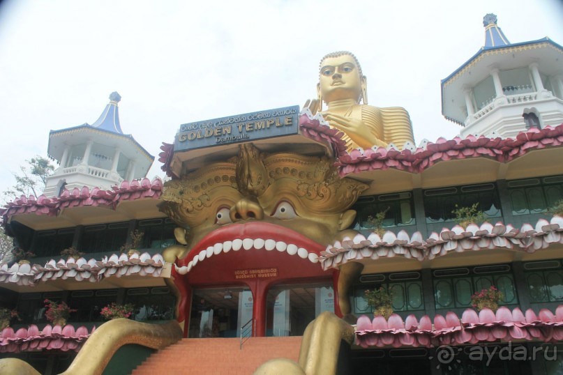 Поездка на Шри-ланку