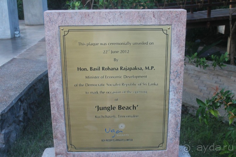 Поездка на Шри-ланку