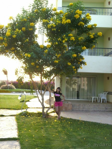 фото Harmony Makadi Bay Hotel & Resort 