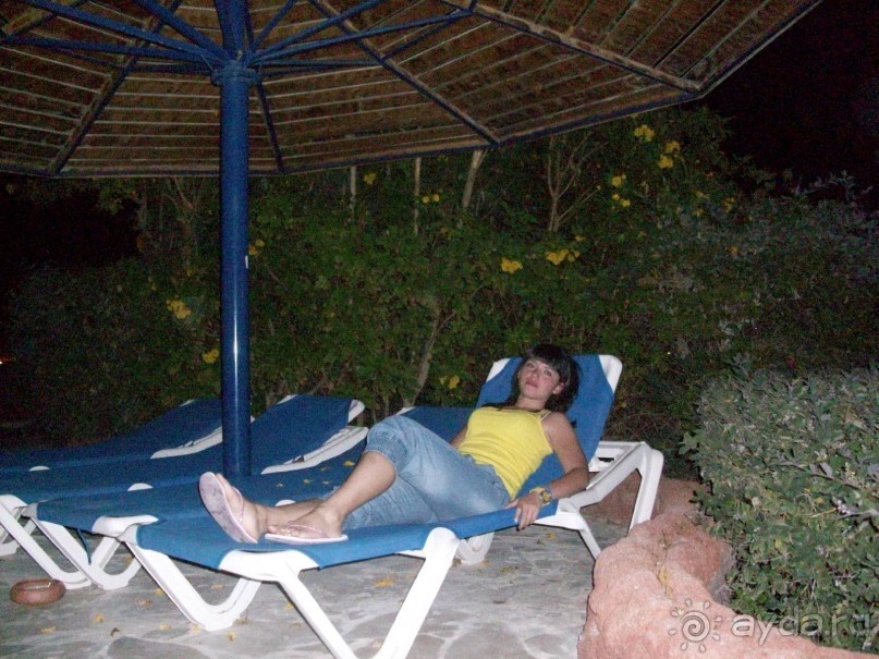 фото Harmony Makadi Bay Hotel & Resort 