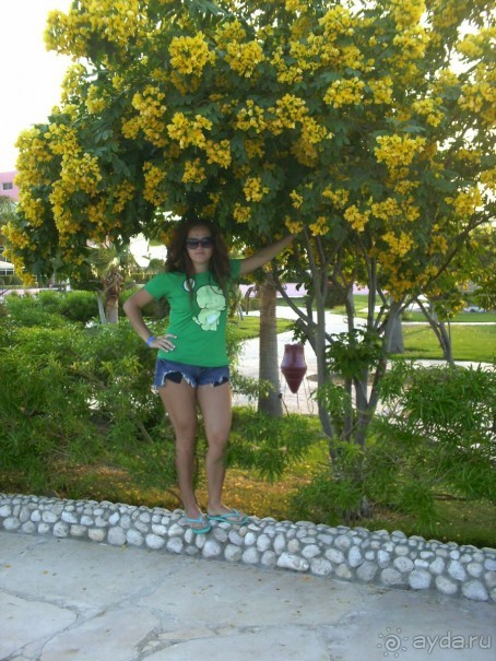 фото Harmony Makadi Bay Hotel & Resort 