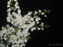 Очень протеворечивые впечатления...