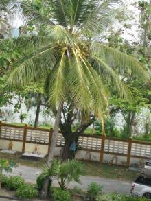 фото Chalong Beach Hotel & SPA