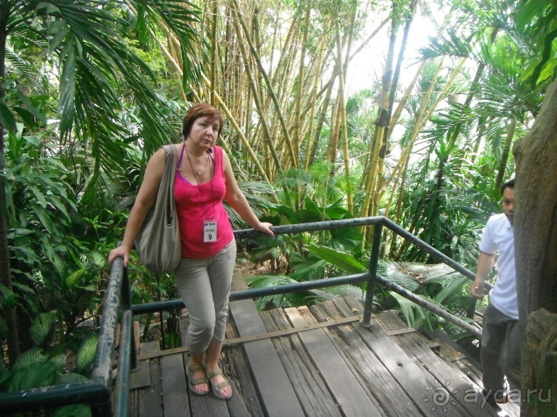 Очень протеворечивые впечатления...