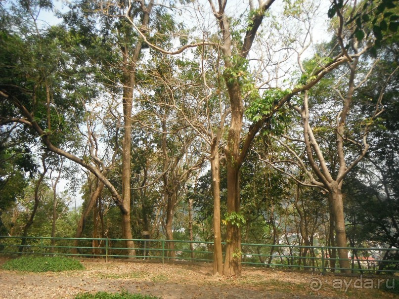 Очень протеворечивые впечатления...