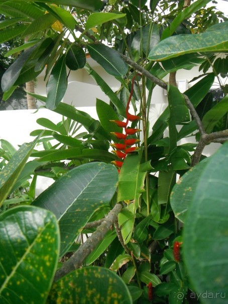 Очень протеворечивые впечатления...