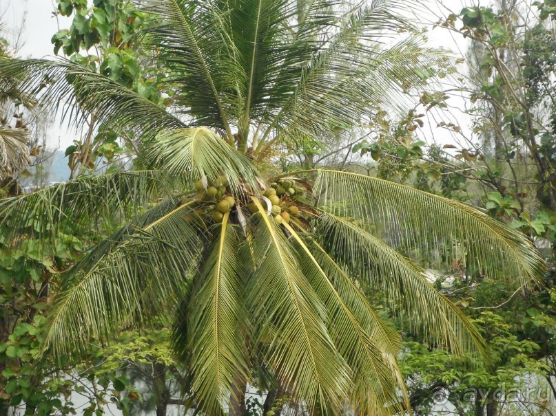 Очень протеворечивые впечатления...