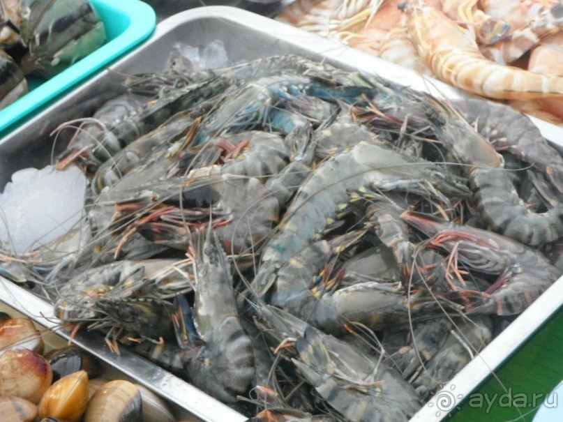 Очень протеворечивые впечатления...