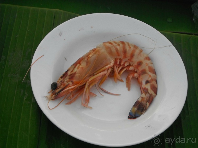 Очень протеворечивые впечатления...