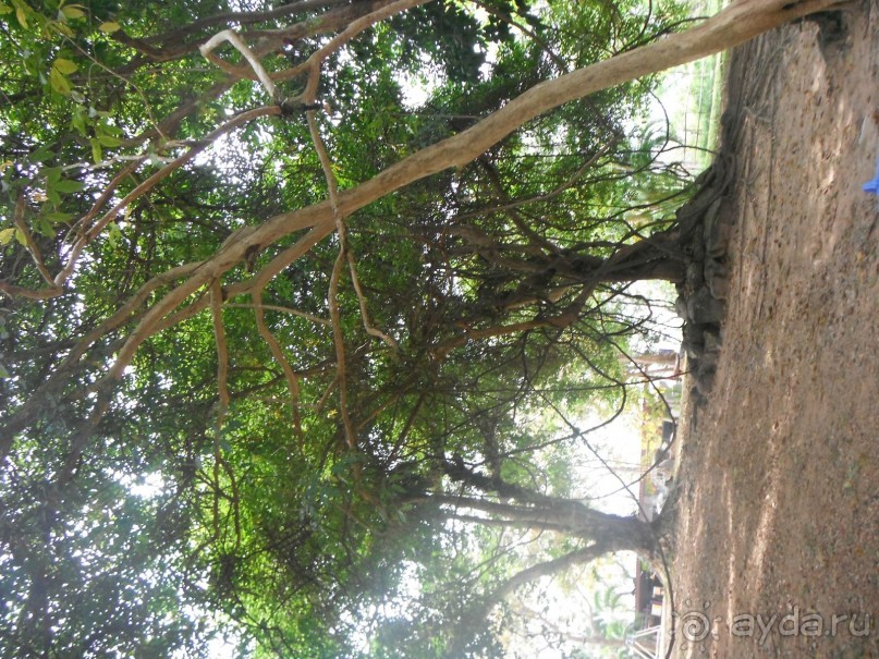 Очень протеворечивые впечатления...