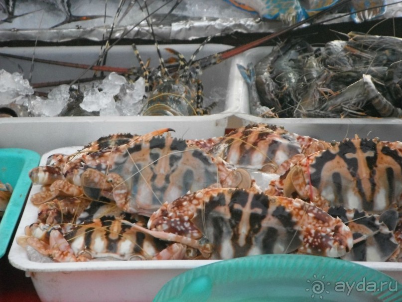 Очень протеворечивые впечатления...