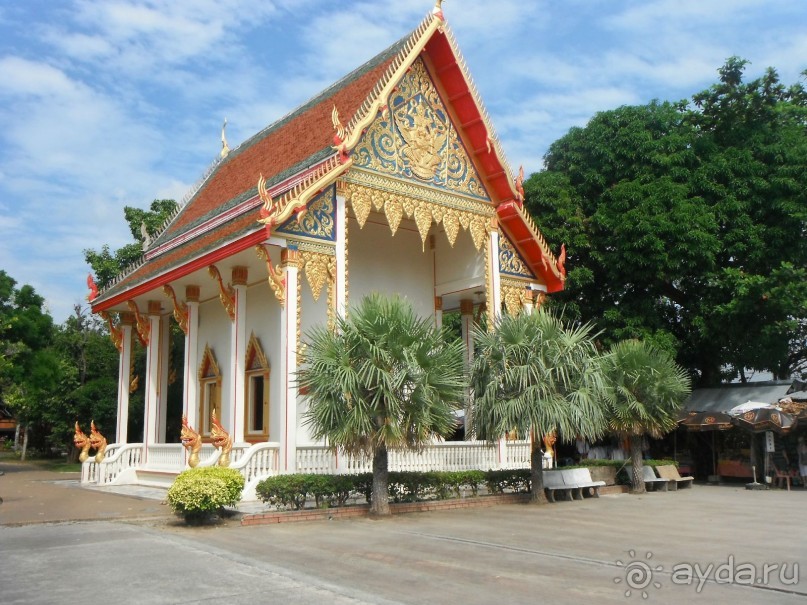 Очень протеворечивые впечатления...