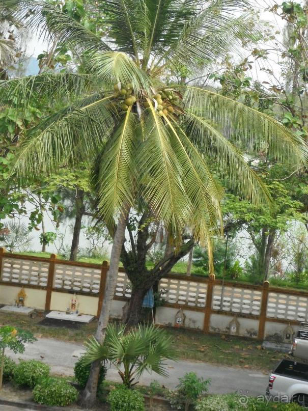 Очень протеворечивые впечатления...