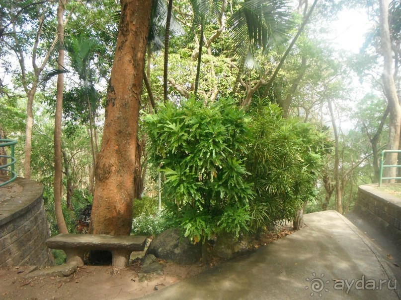 Очень протеворечивые впечатления...