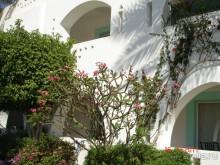 Чудесный "город-отель" на берегу залива Корал-бей