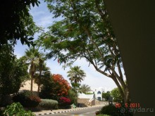 фото Domina Coral Bay Sultan