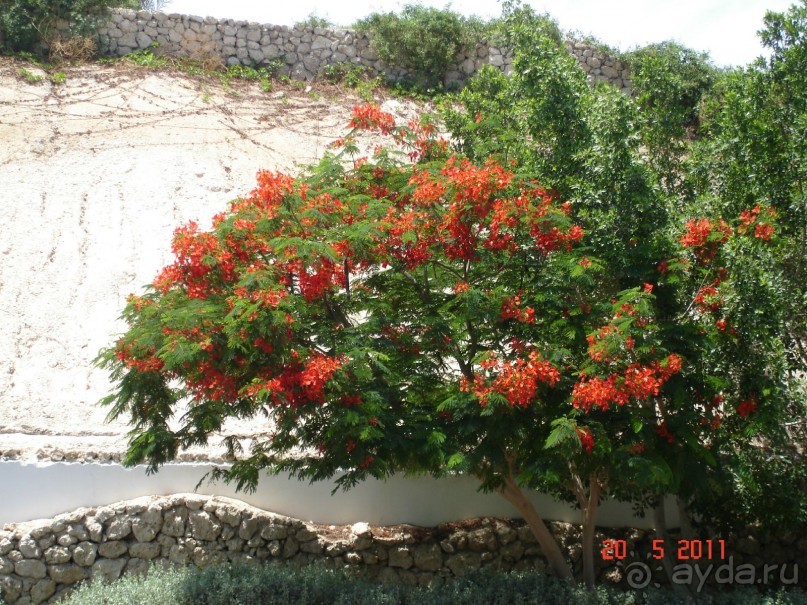 Чудесный "город-отель" на берегу залива Корал-бей