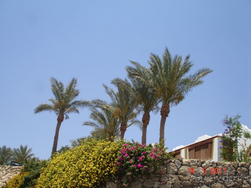 Чудесный "город-отель" на берегу залива Корал-бей