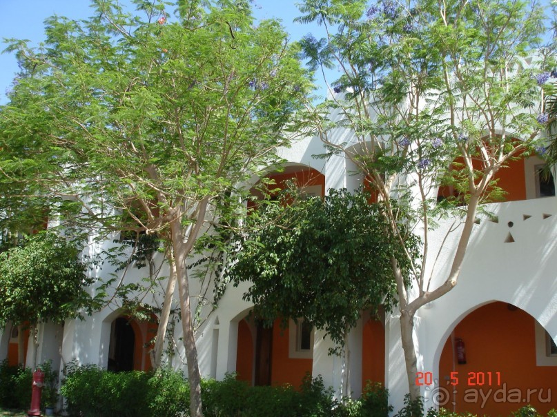 Чудесный "город-отель" на берегу залива Корал-бей