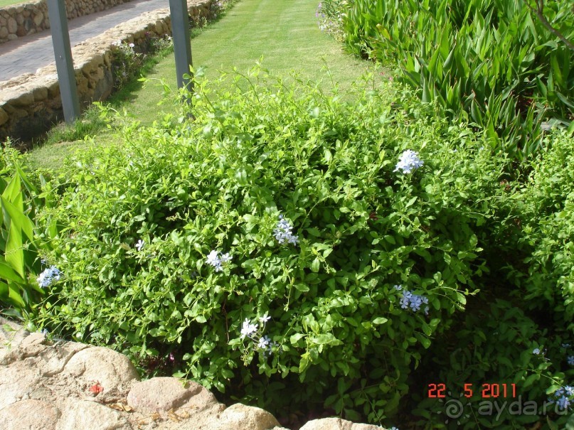 Чудесный "город-отель" на берегу залива Корал-бей