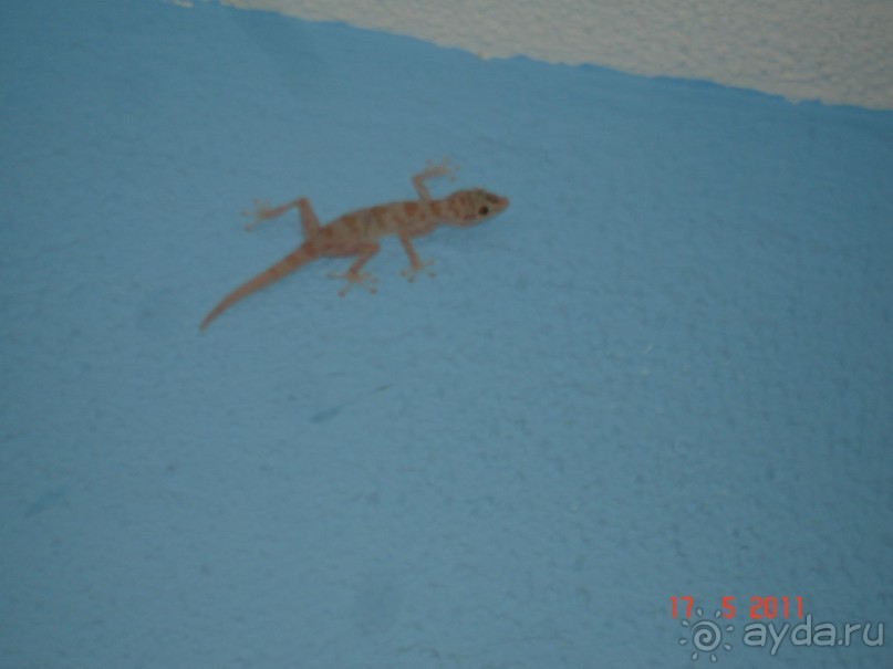 Чудесный "город-отель" на берегу залива Корал-бей