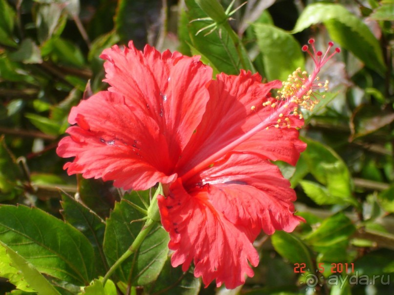 Чудесный "город-отель" на берегу залива Корал-бей