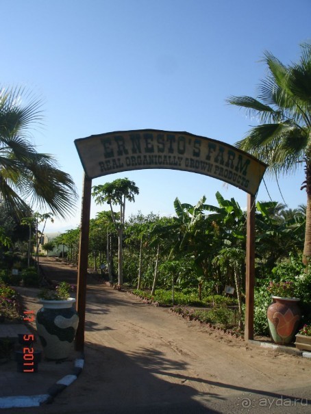 Чудесный "город-отель" на берегу залива Корал-бей