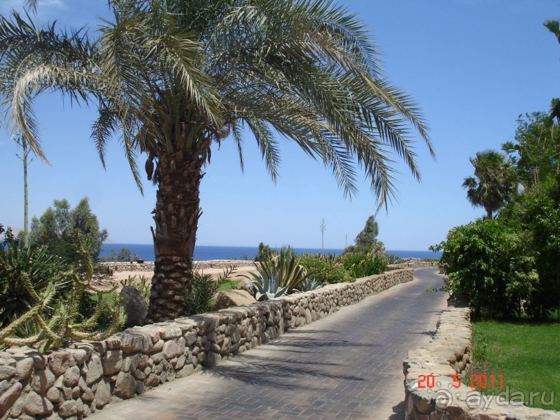 Чудесный "город-отель" на берегу залива Корал-бей