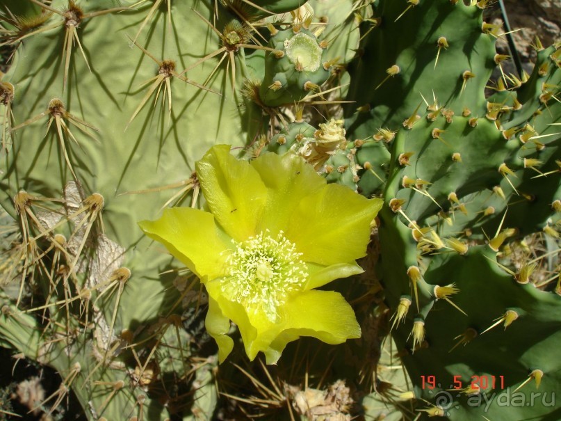 Чудесный "город-отель" на берегу залива Корал-бей