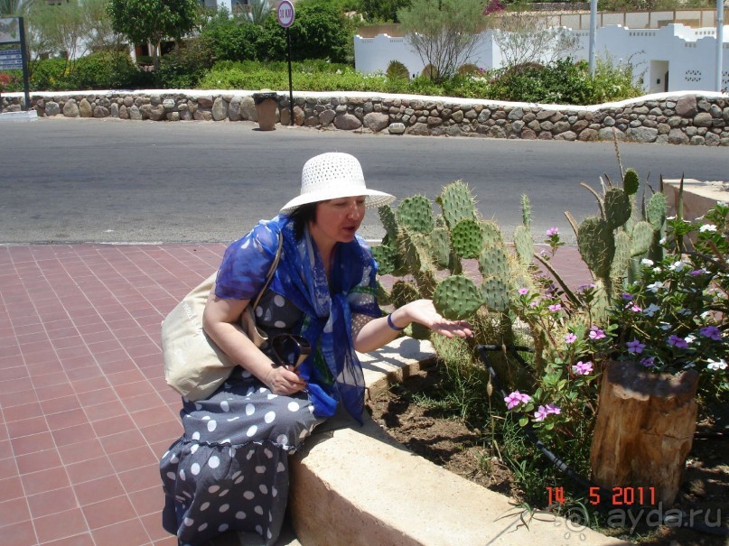 Чудесный "город-отель" на берегу залива Корал-бей