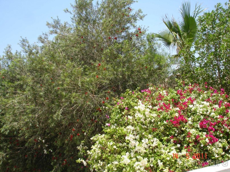 Чудесный "город-отель" на берегу залива Корал-бей