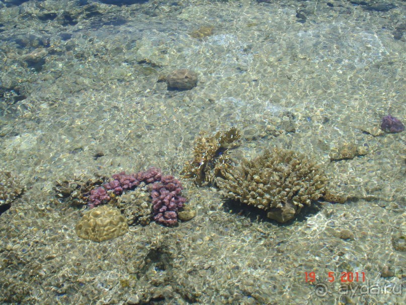 Чудесный "город-отель" на берегу залива Корал-бей