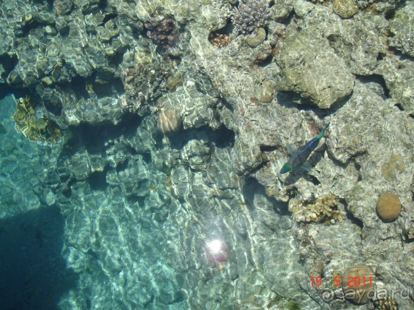 Чудесный "город-отель" на берегу залива Корал-бей