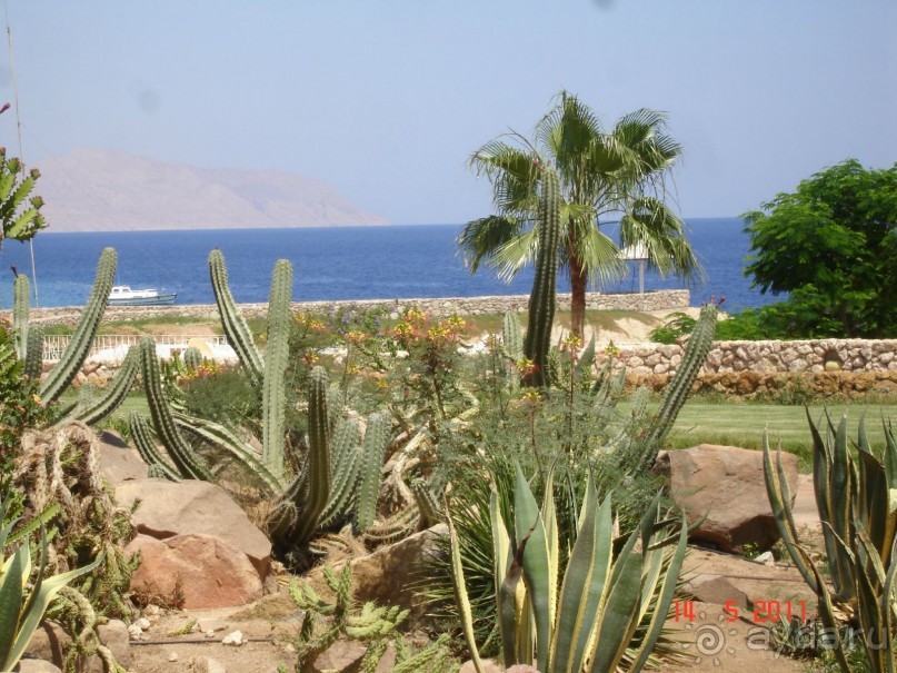 Чудесный "город-отель" на берегу залива Корал-бей