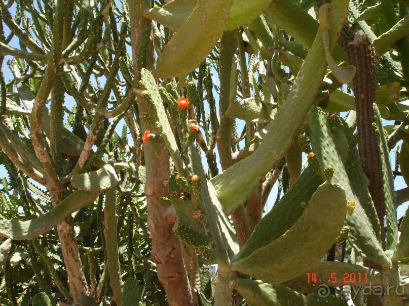 Чудесный "город-отель" на берегу залива Корал-бей