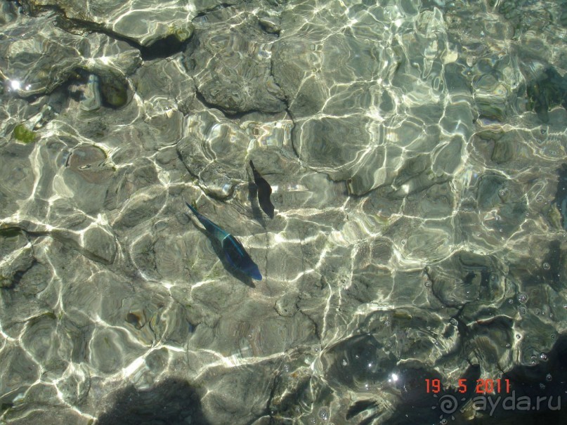 Чудесный "город-отель" на берегу залива Корал-бей