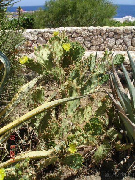 Чудесный "город-отель" на берегу залива Корал-бей