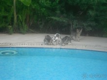 Маленький праздник у Средиземного моря