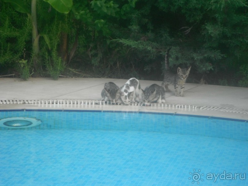 Маленький праздник у Средиземного моря