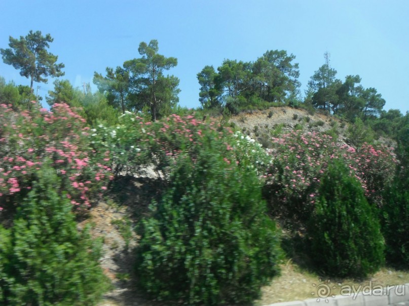 Маленький праздник у Средиземного моря