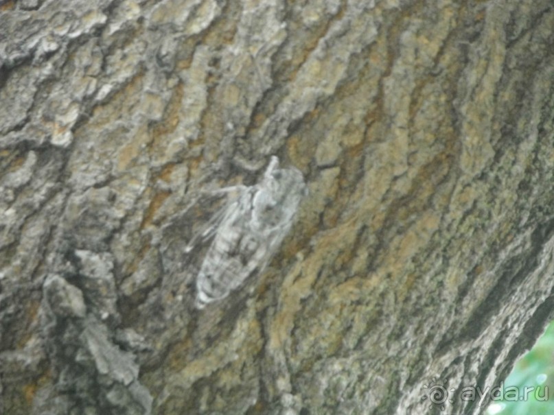 Маленький праздник у Средиземного моря