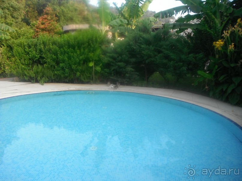 Сад в спа центре