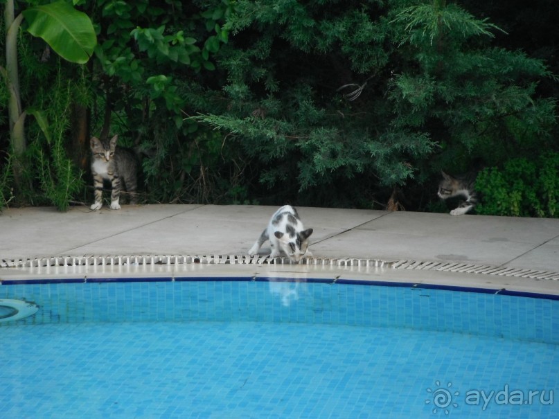 Маленький праздник у Средиземного моря