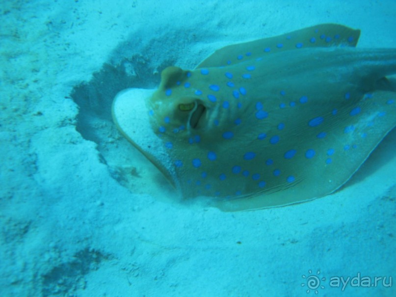 Теперь вернемся только сюда