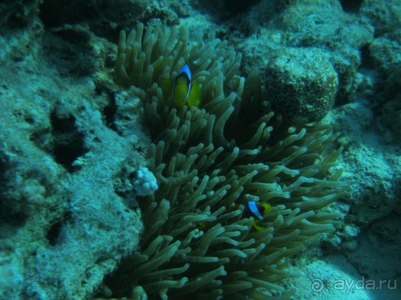 Теперь вернемся только сюда